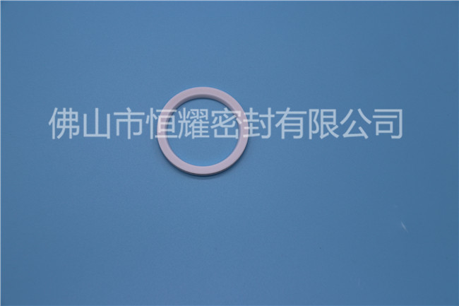 荆门液压泛塞封-液压泛塞封采购-佛山市俄罗斯专享会密封公司